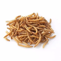 Panzi szárított lisztkukac 50 g