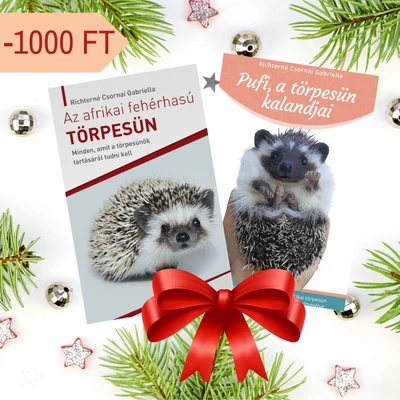 Karácsonyi törpesünis könyvcsomag
